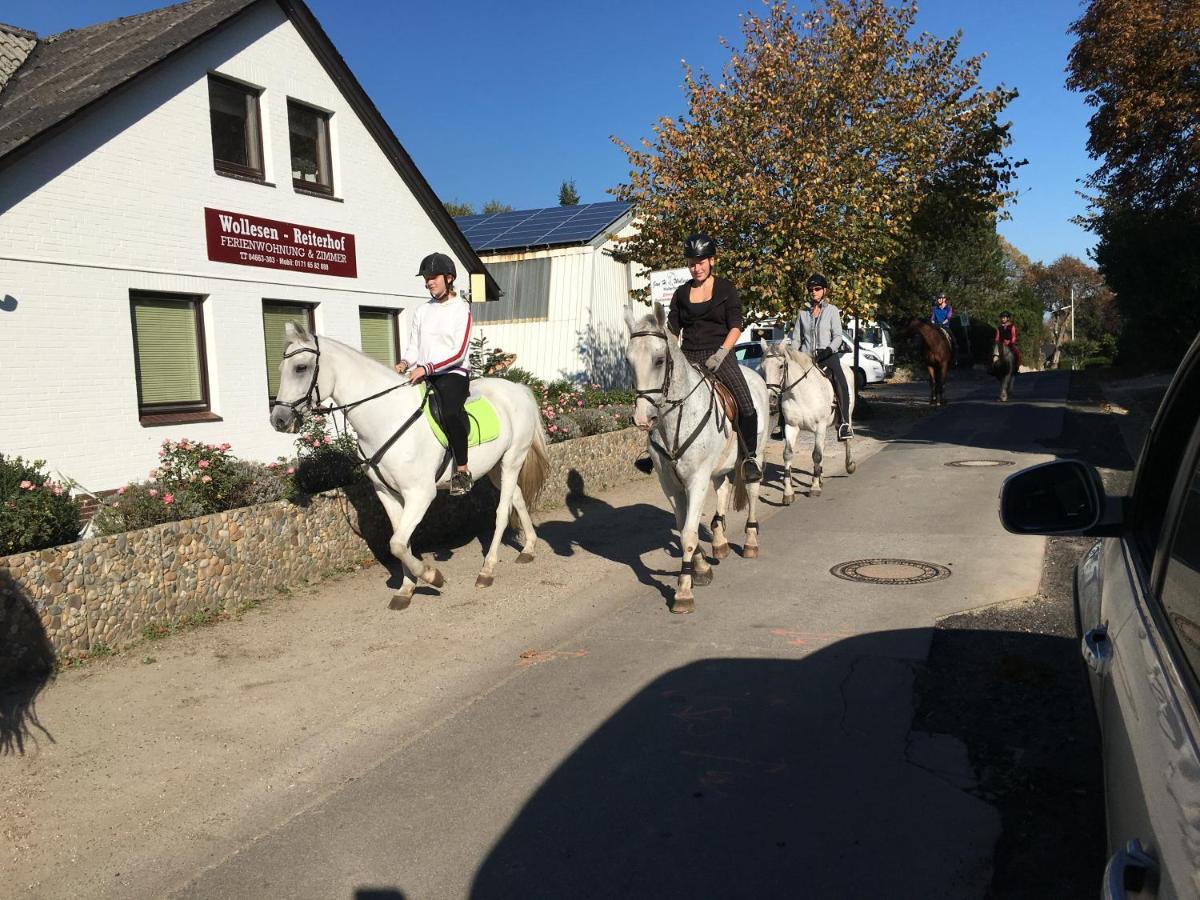 Hotel Reiterhof Wollesen Süderlügum Zewnętrze zdjęcie